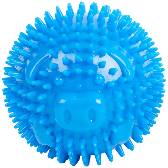 Balle pour chien Beasty