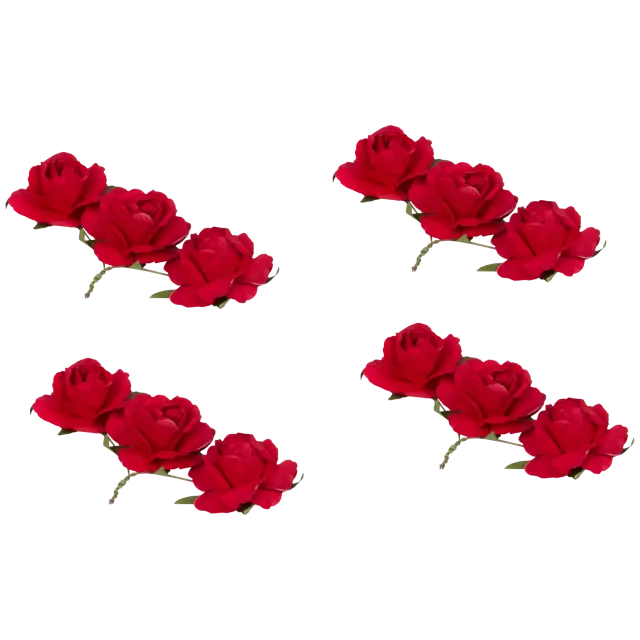 Roses décoratives