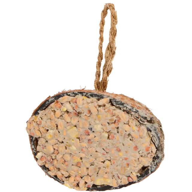 Noix de coco garnie pour oiseaux Bites for Birds
