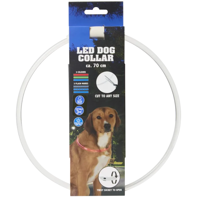 Collier LED rechargeable