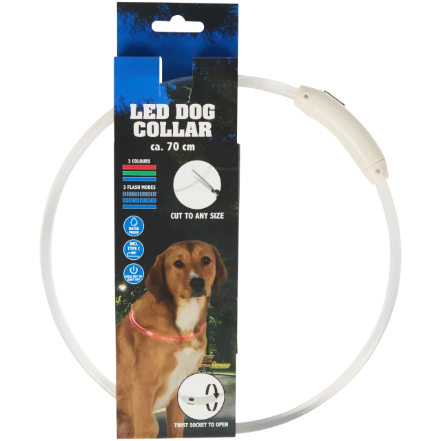 Collier LED rechargeable pour chien