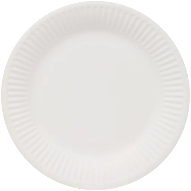 Assiettes en carton