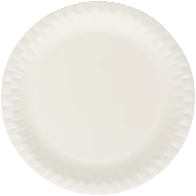 Assiettes en carton