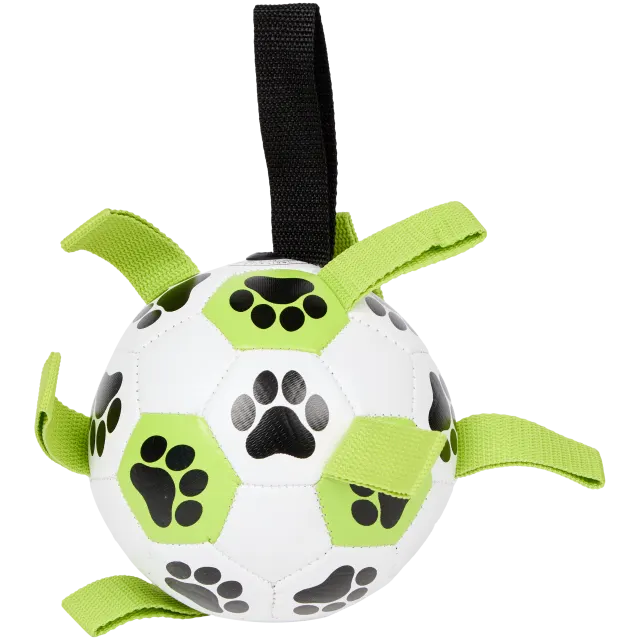 Balle à jouer pour chien