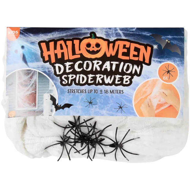 Décoration toile d’araignée