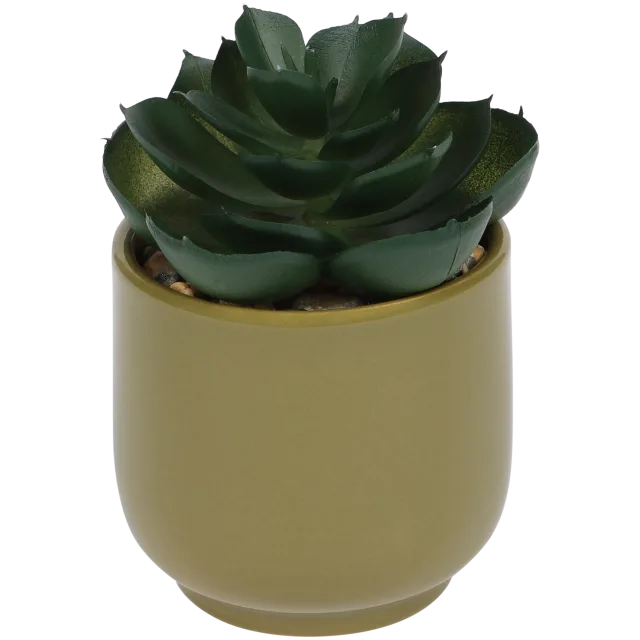 Plante grasse artificielle en pot Home Accents