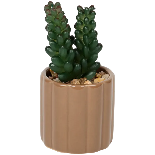 Plante grasse artificielle en pot Home Accents