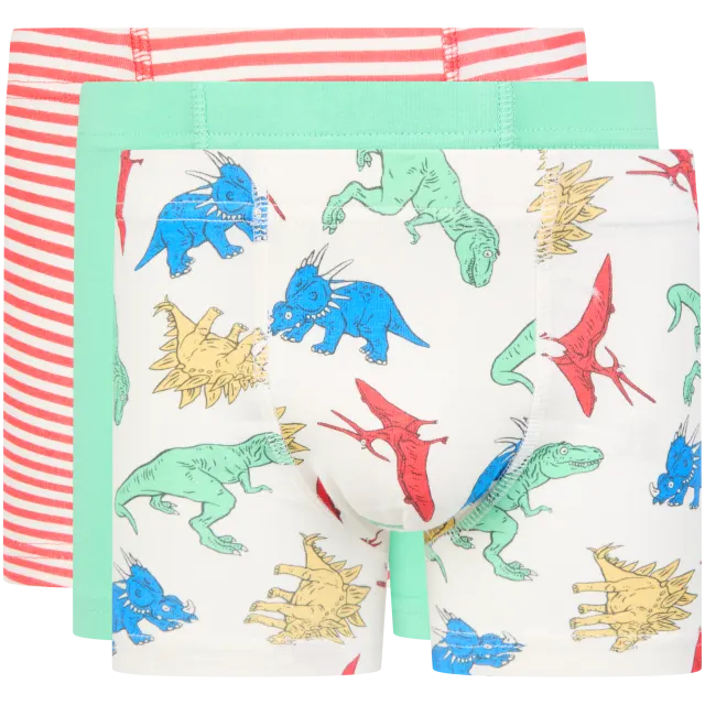 Boxers Cool Basics