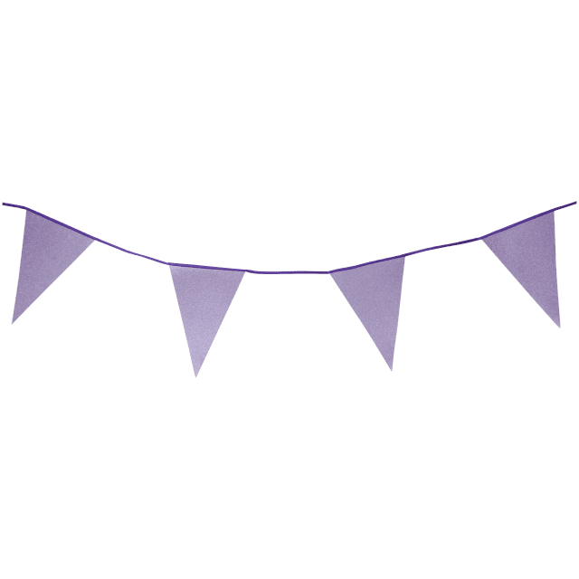 Guirlande de drapeaux à paillettes Party Universe