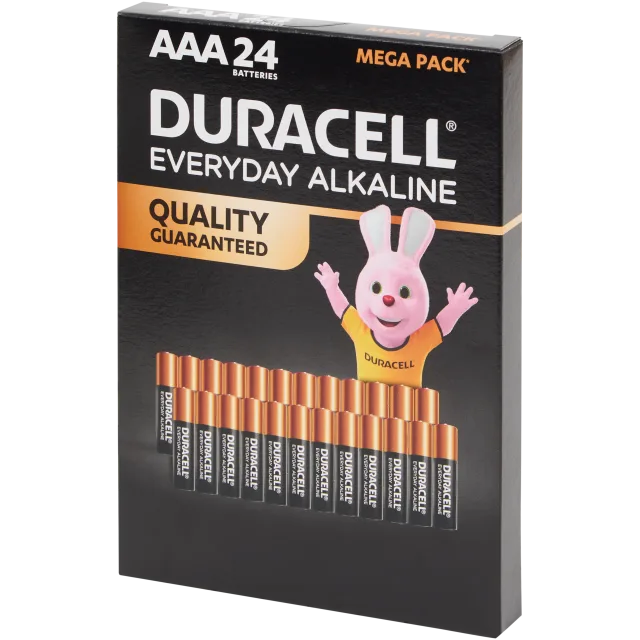 Piles Duracell Everyday Alkaline AAA
