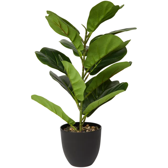 Kunstficus in pot
