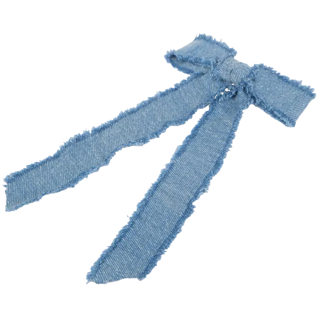 Accessoires pour cheveux