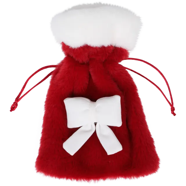 Sachet cadeau de Noël