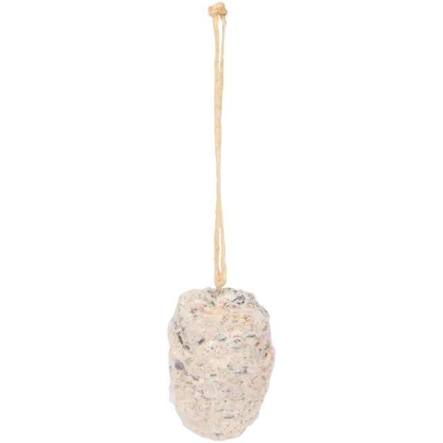 Pomme de pin pour oiseaux Bites for Birds