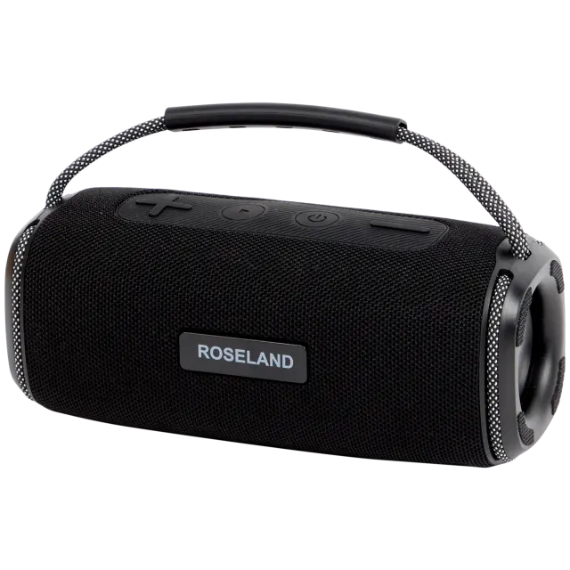 Enceinte Roseland RS-