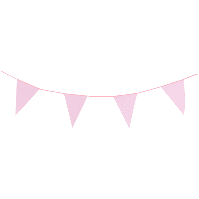 Guirlande de drapeaux à paillettes Party Universe