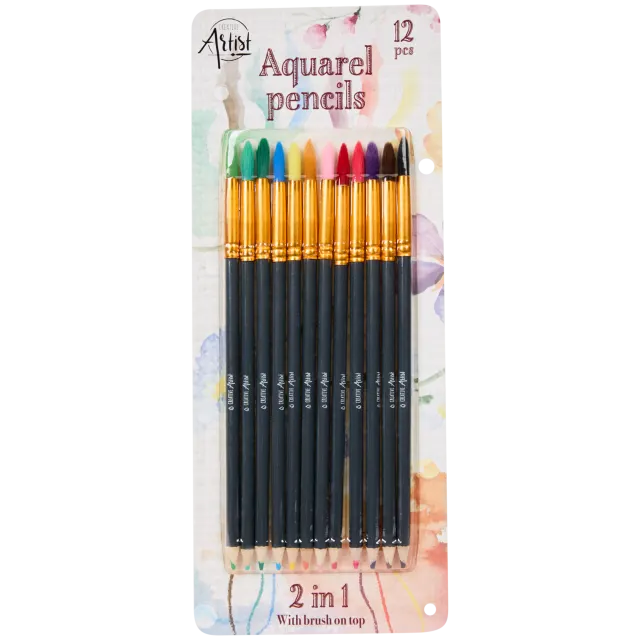 Crayons et pinceaux aquarelle 2-en-1