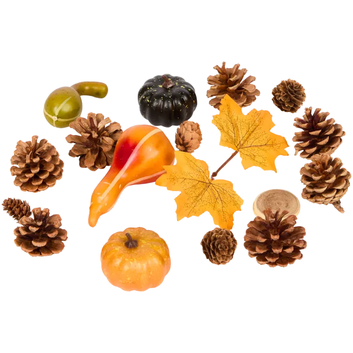 Mélange d'automne, chez Action