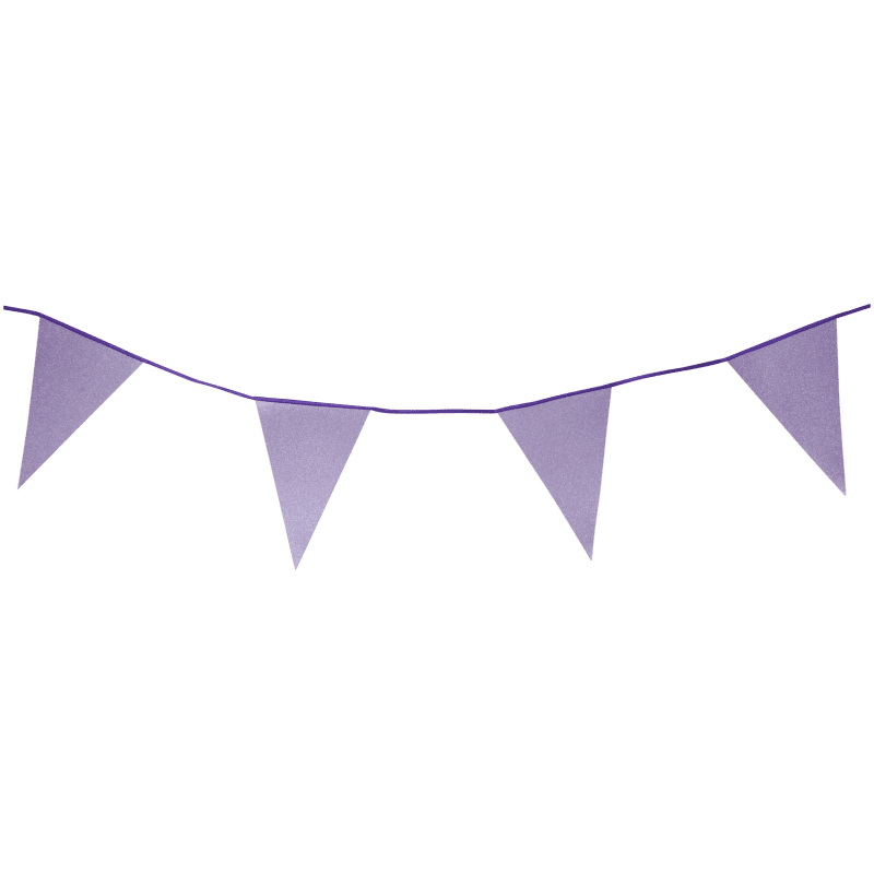 Guirlande de drapeaux à paillettes Party Universe