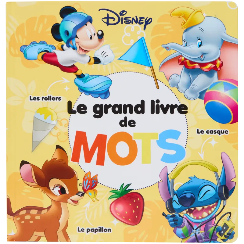 Dictionnaire pour enfants