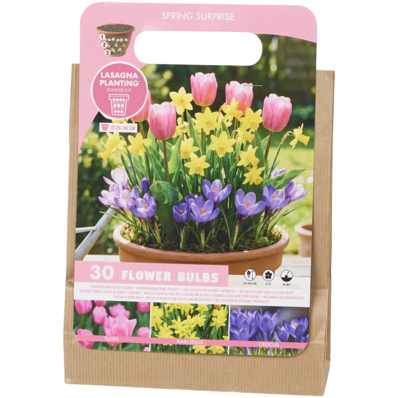 Bulbes de fleurs