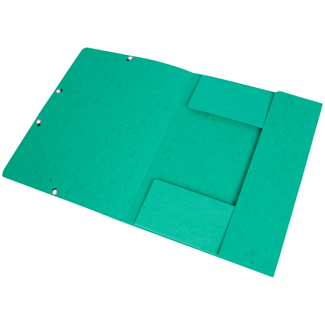 Cartelle portadocumenti con elastico Exacompta 2
