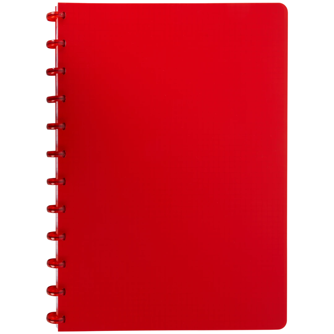 Ringbuch A4 kariert 1