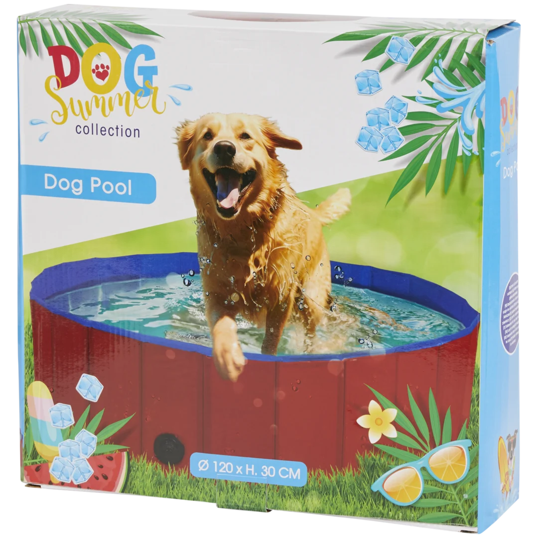 Piscine pour chien 3