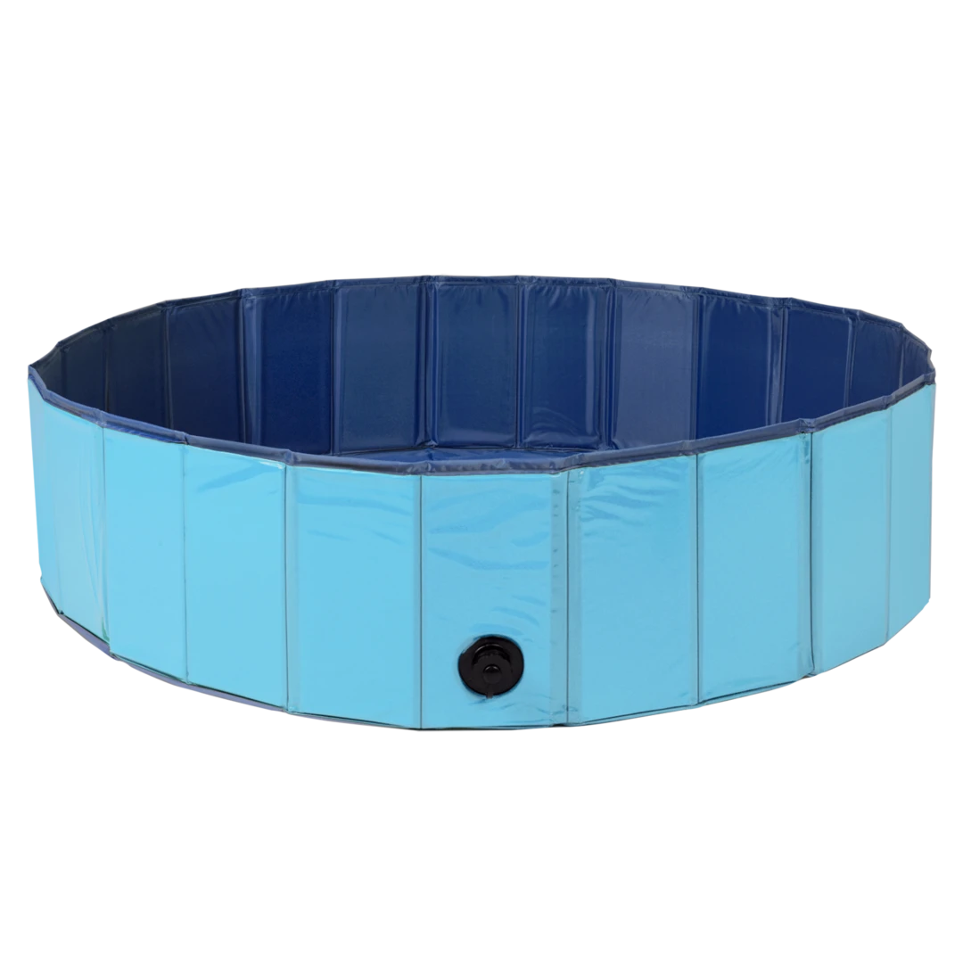 Piscine pour chien 1
