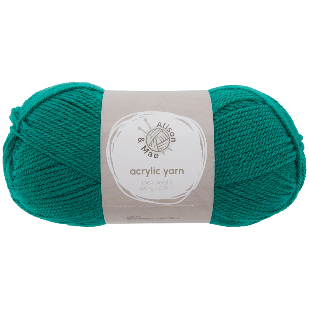 Fil à tricoter Alison & Mae Essentials Vert 1