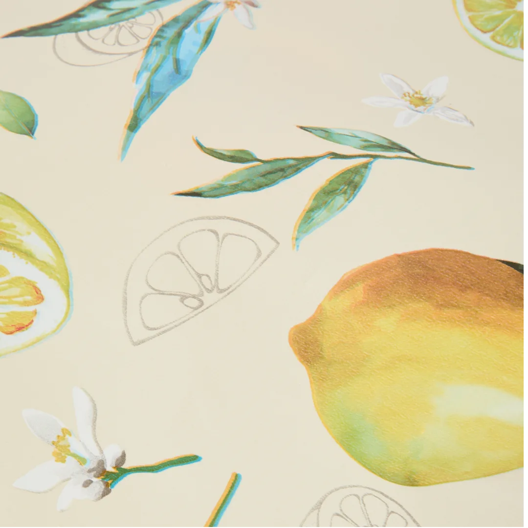 Nappe en vinyle 2