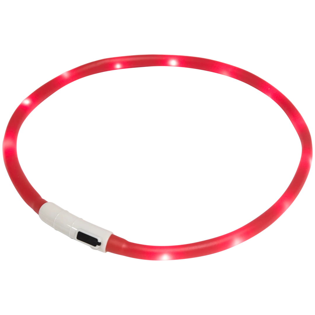 Collare LED ricaricabile 2
