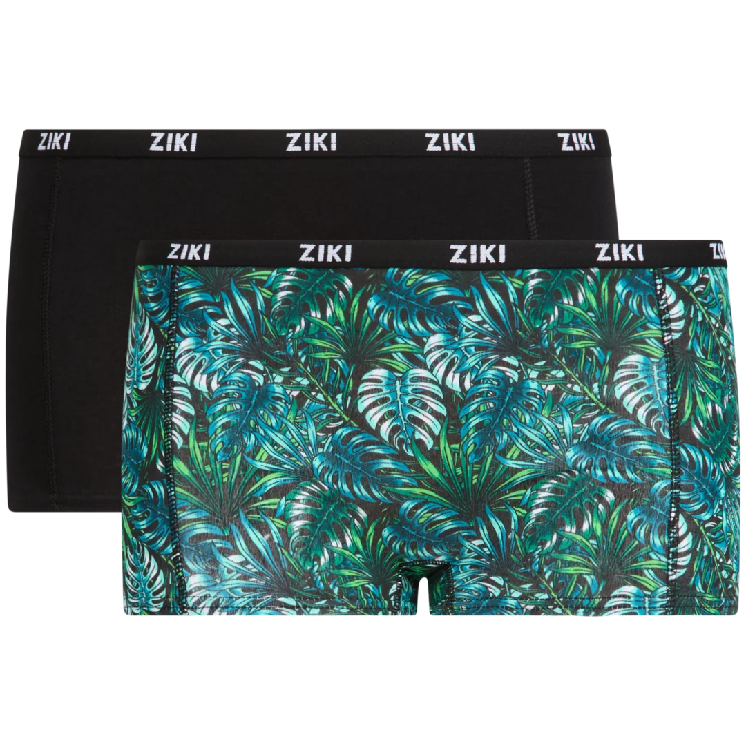 Boxers Ziki 2