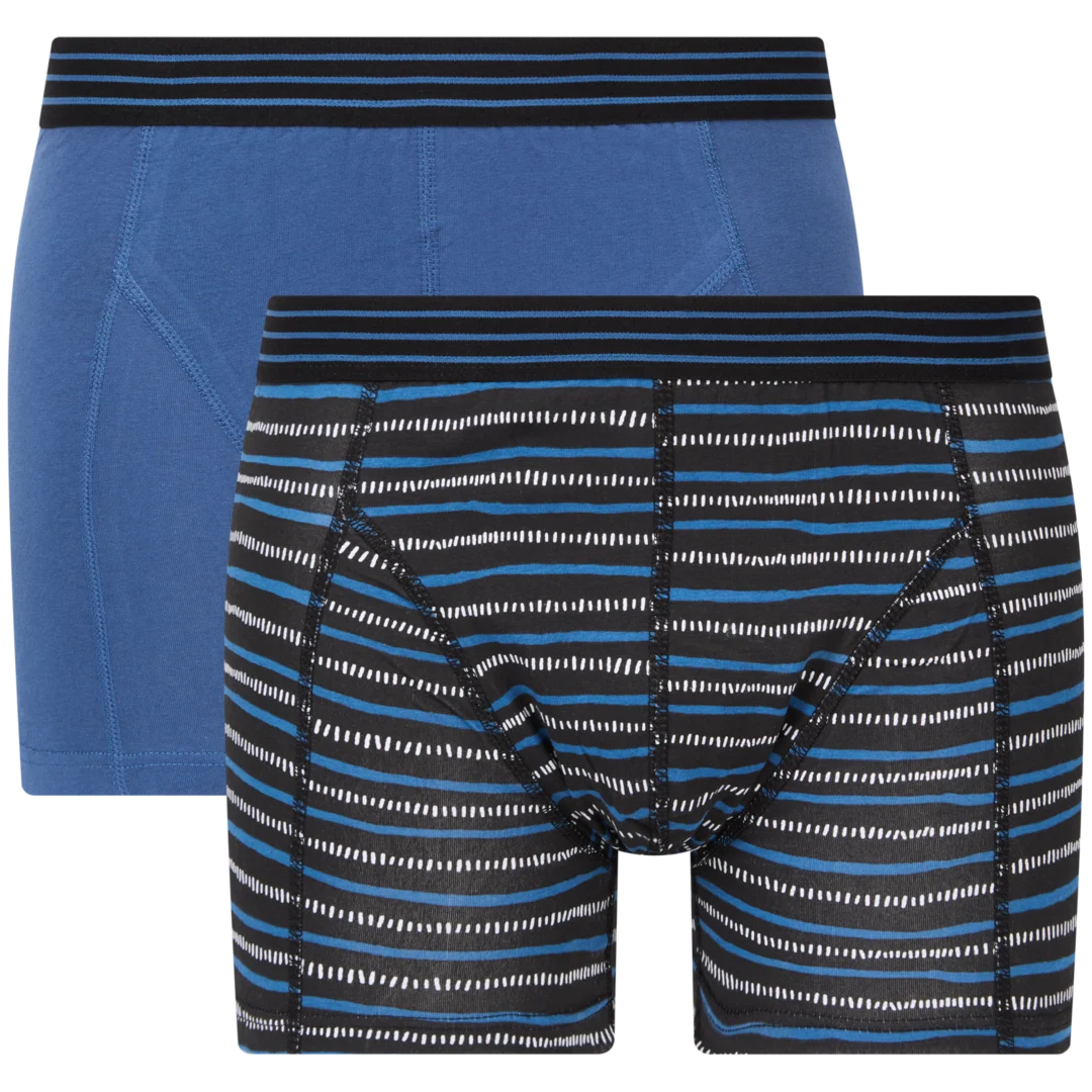 Boxer Ziki 4