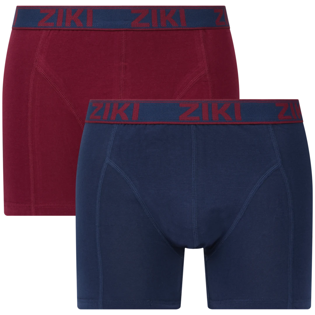 Boxer Ziki 2