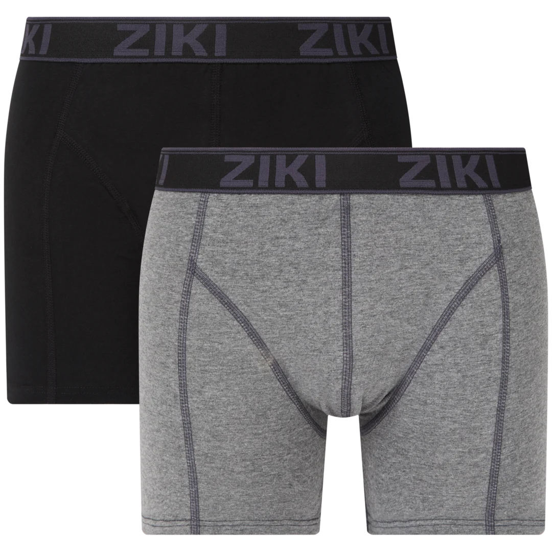 Boxer Ziki 1