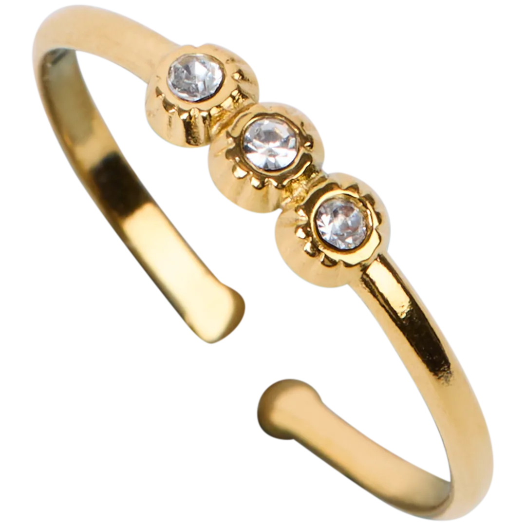 Vergulde ring 4