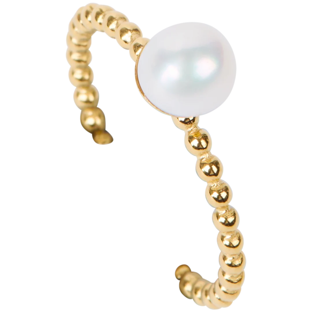 Vergulde ring 1