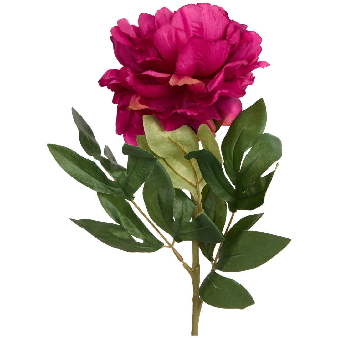 Pivoine artificielle sur tige Excellent Flowers 1