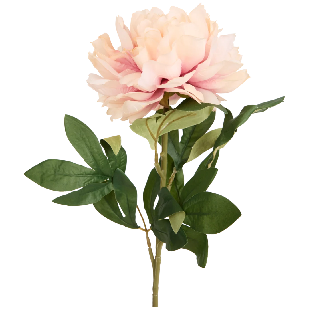 Pivoine artificielle sur tige Excellent Flowers 3