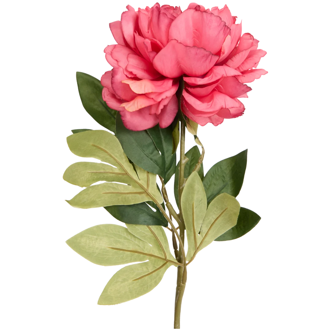 Pivoine artificielle sur tige Excellent Flowers 5