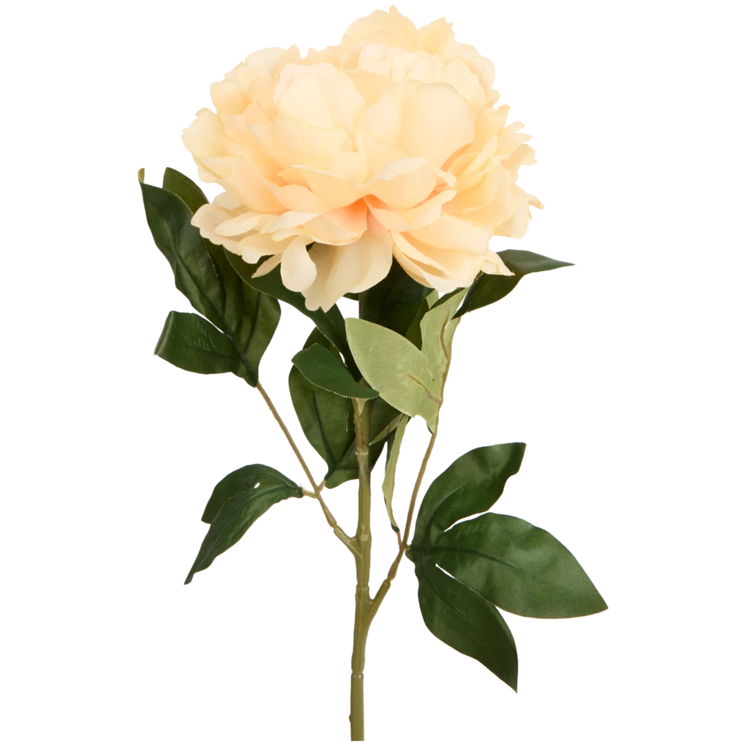 Pivoine artificielle sur tige Excellent Flowers 7