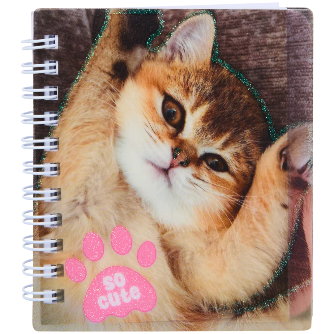 Mini carnet de notes 13