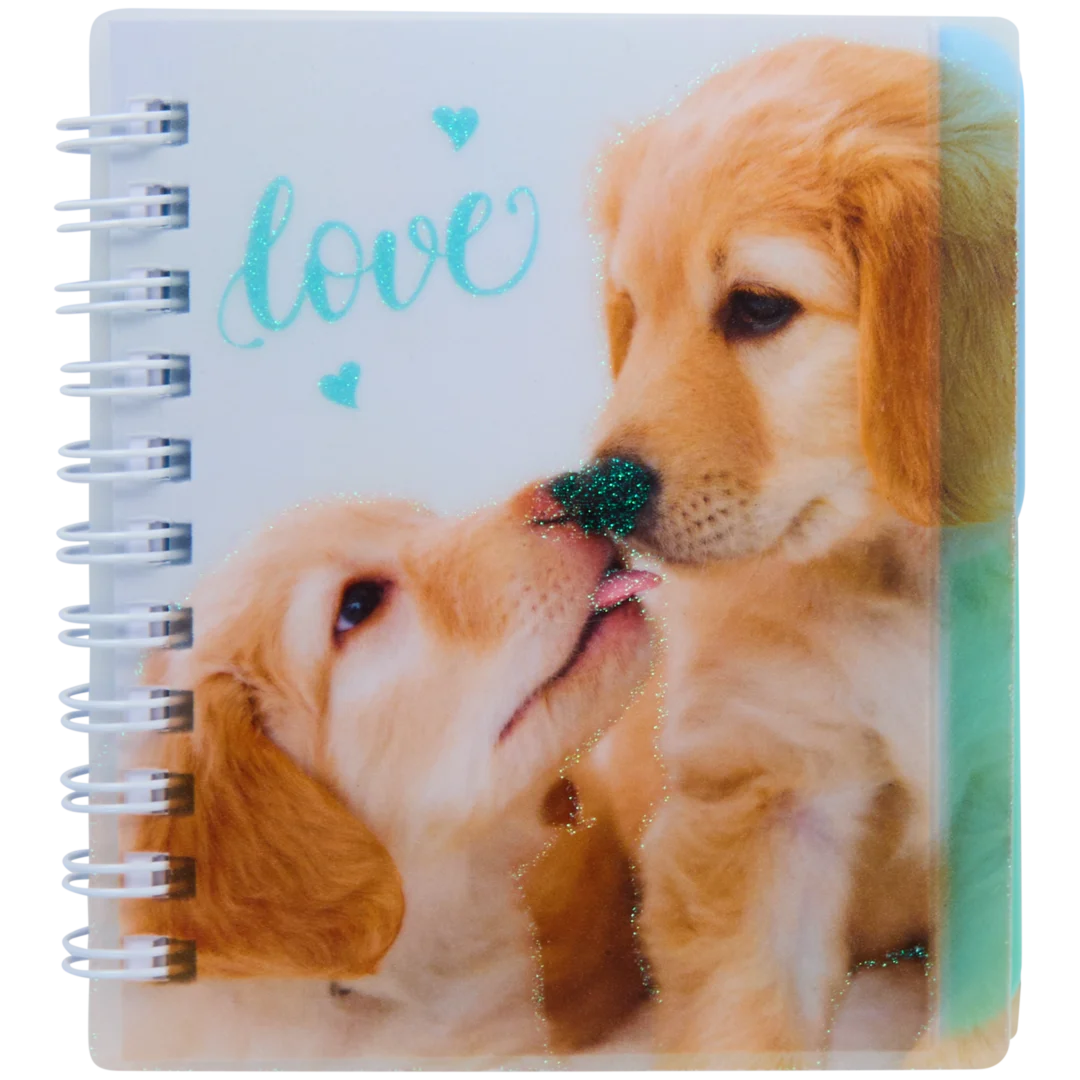 Mini carnet de notes 11