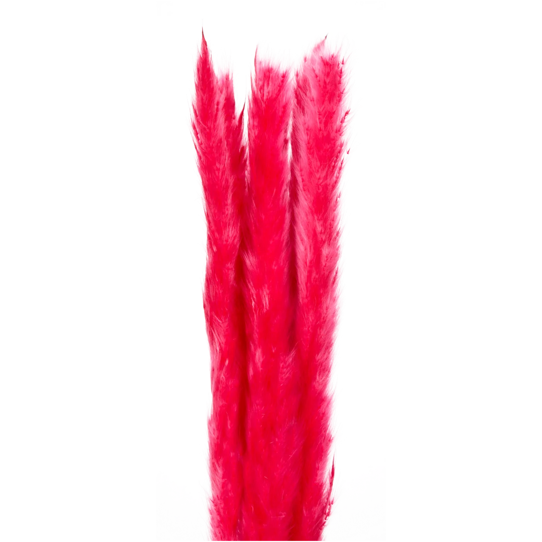 Bouquet seco 8