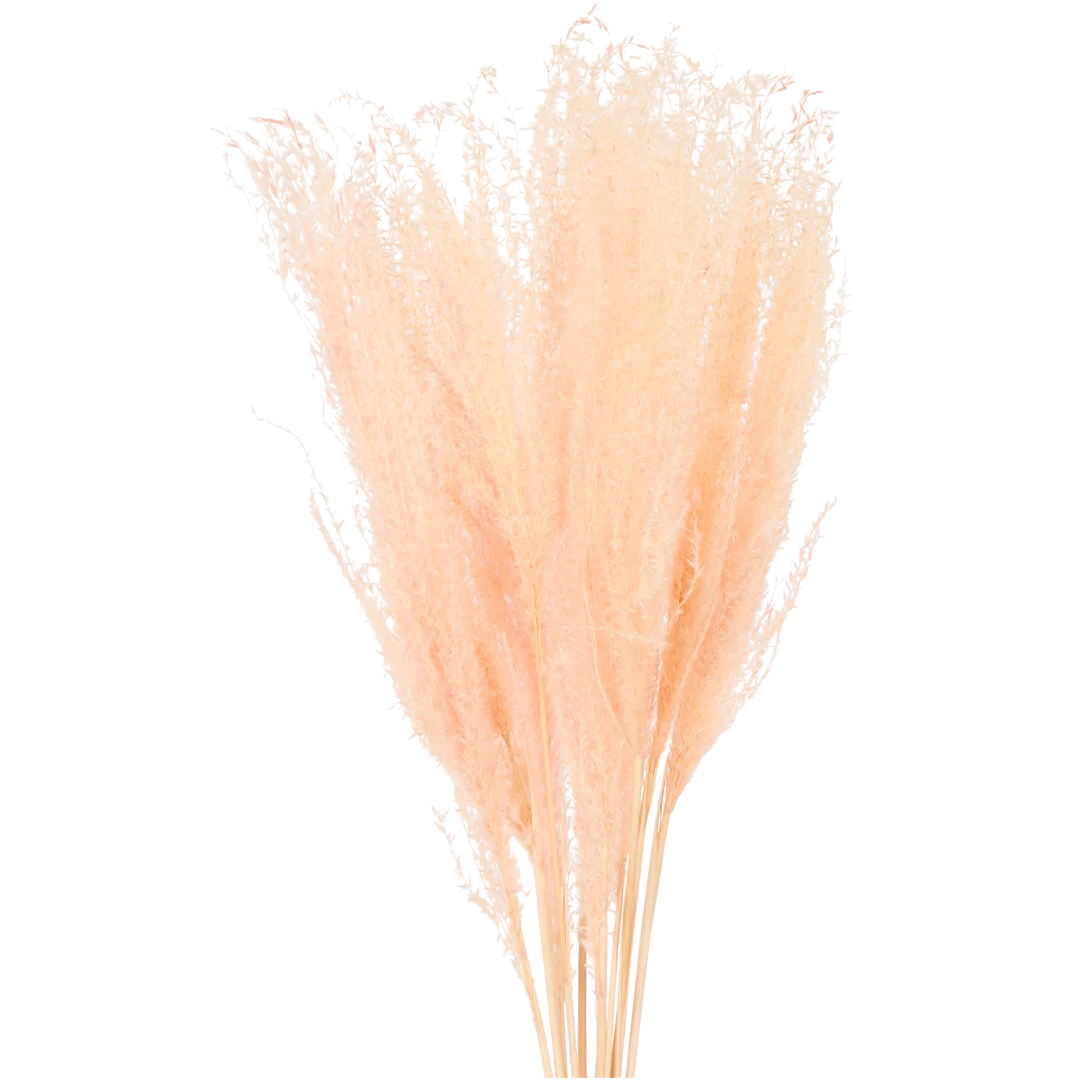 Bouquet seco 6