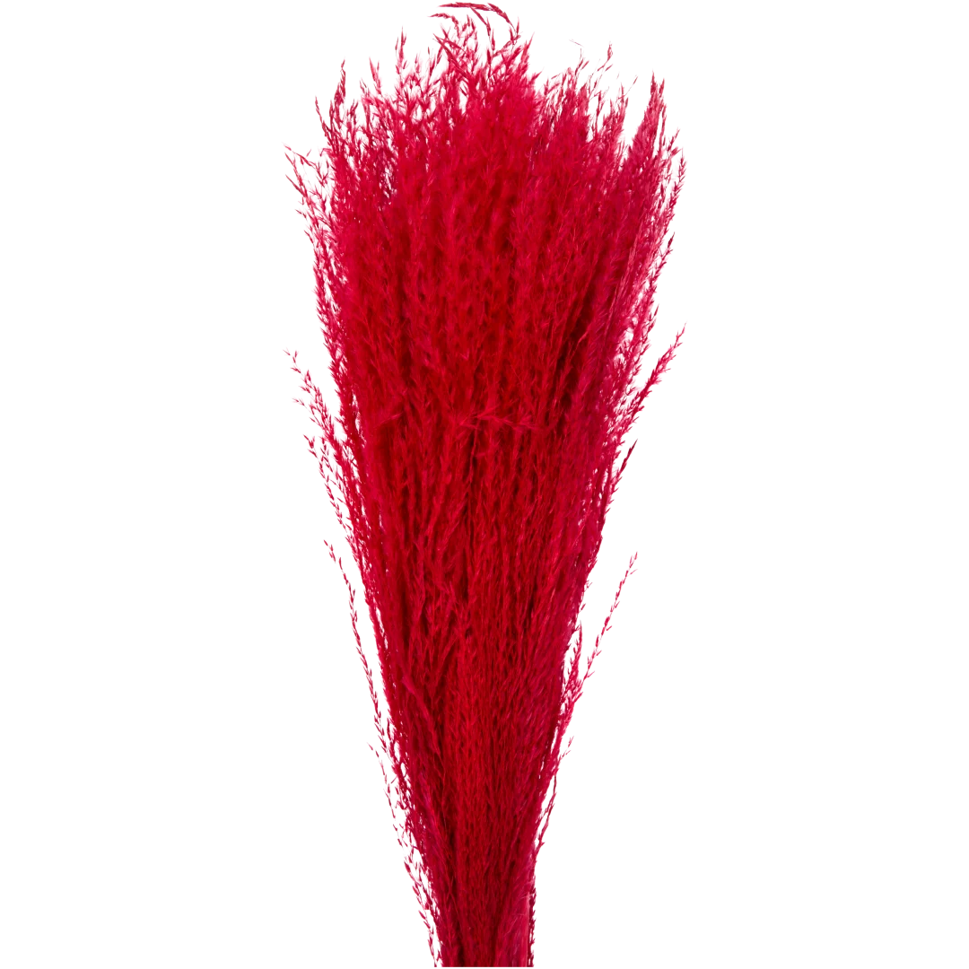 Bouquet seco 3