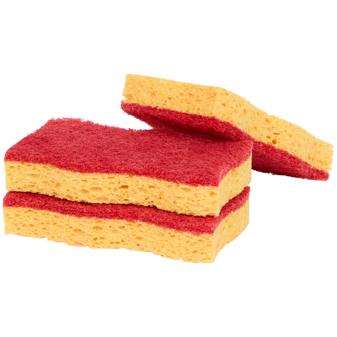 Spugne abrasive Nicols 1