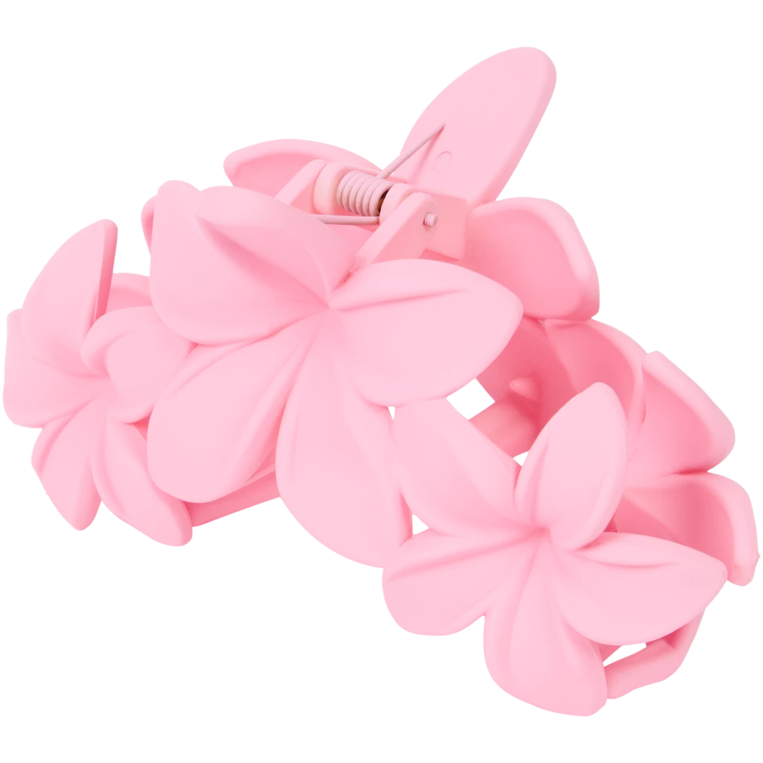 Pince à cheveux 10