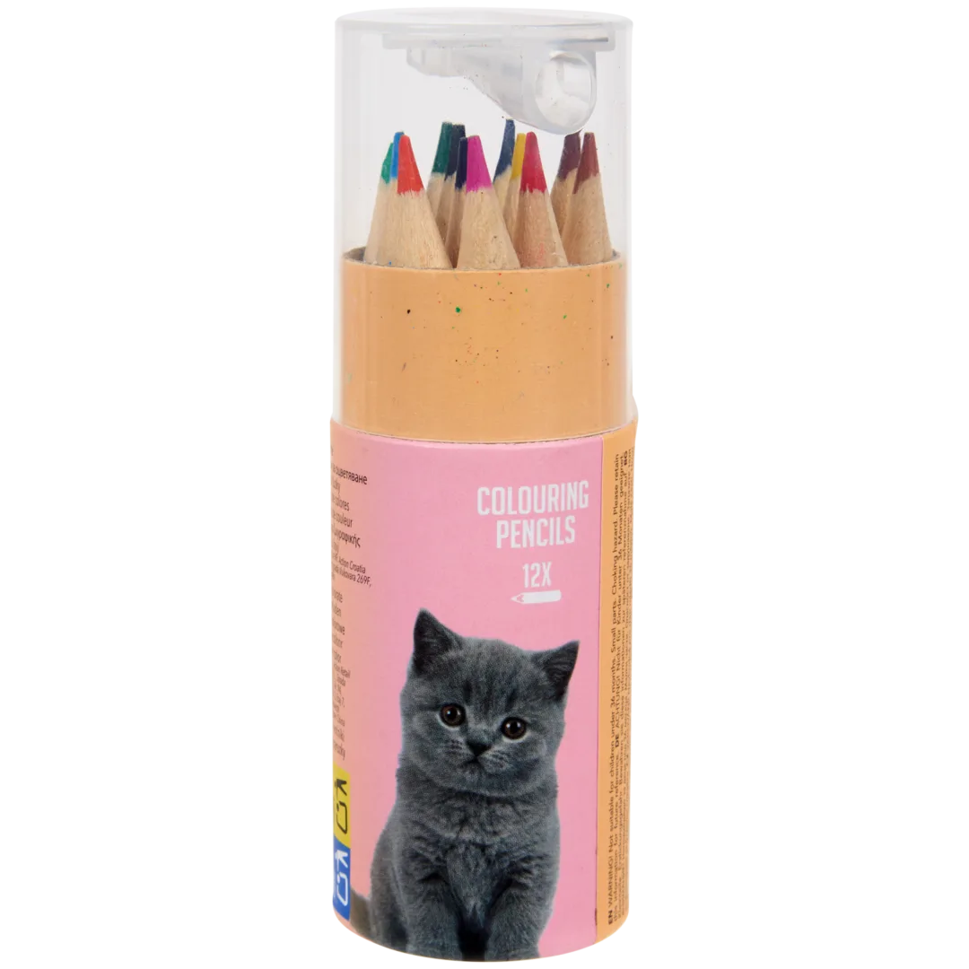 Mini crayons de couleur 4